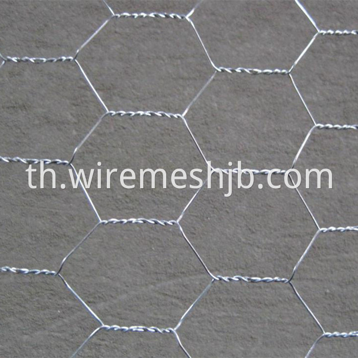 Hot Galvanized Chicken Mesh